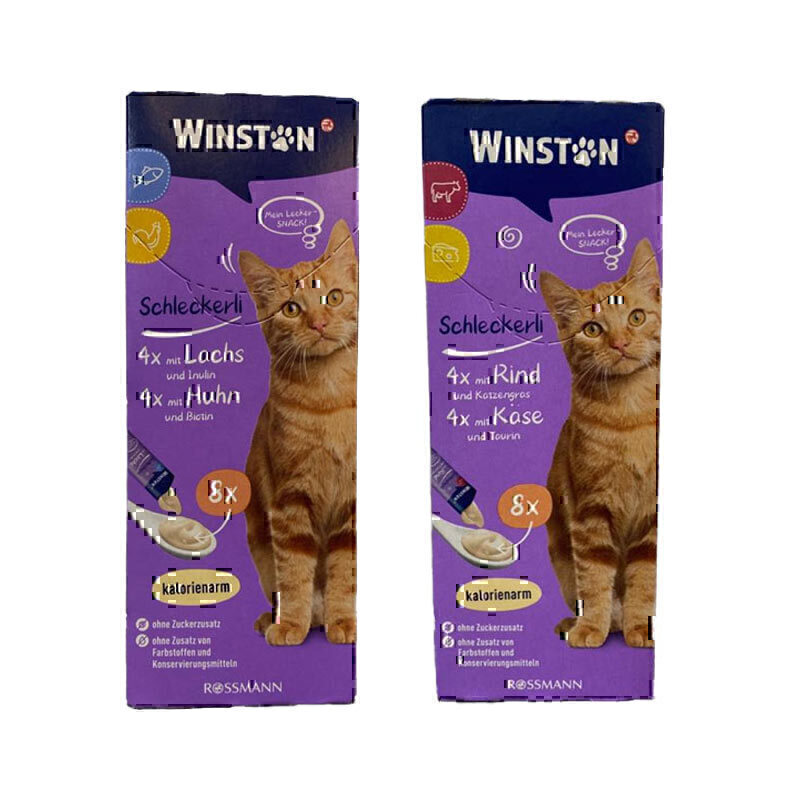 بستني گربه وينستون winstone